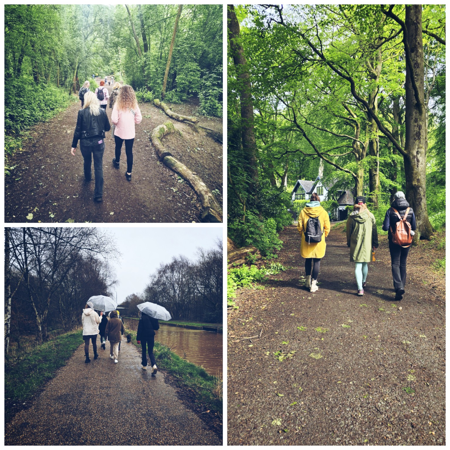 A collage from several She Rises walks