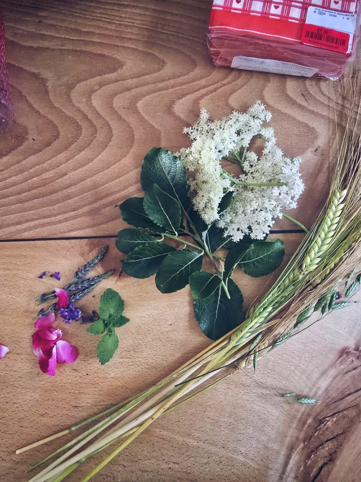 Plants gathered during the summer gathering